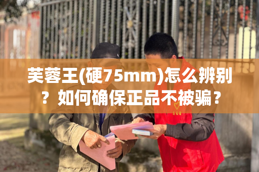 芙蓉王(硬75mm)怎么辨别？如何确保正品不被骗？